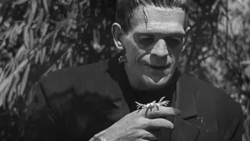 Zasłona do filmu "Frankenstein" #641060