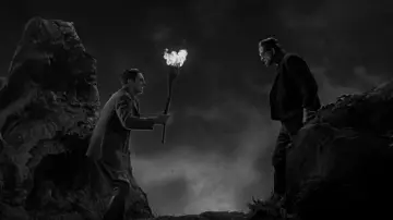 Zasłona do filmu "Frankenstein" #641062