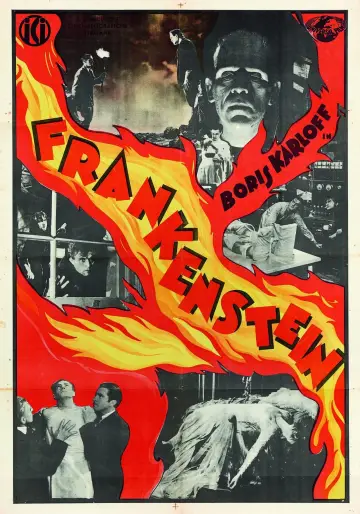 Plakat do filmu "Frankenstein" #641099