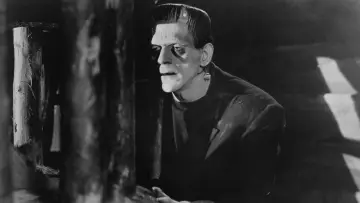 Zasłona do filmu "Frankenstein" #854538