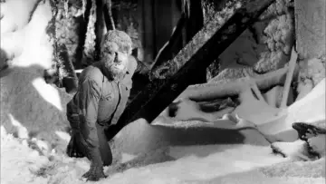 Zasłona do filmu "Frankenstein spotyka Człowieka Wilka" #1030297