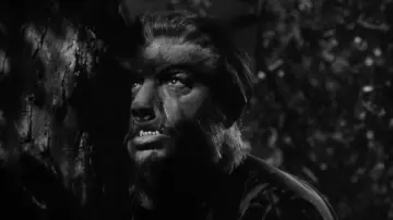 Zasłona do filmu "Frankenstein spotyka Człowieka Wilka" #392322