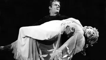Zasłona do filmu "Frankenstein spotyka Człowieka Wilka" #392325