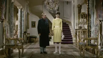 Zasłona do filmu "Jak ukraść milion dolarów" #1209497
