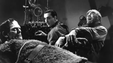 Zasłona do filmu "Syn Frankensteina" #1030394