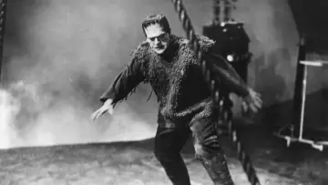 Zasłona do filmu "Syn Frankensteina" #1030395