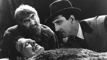 Zasłona do filmu "Syn Frankensteina" #1030396