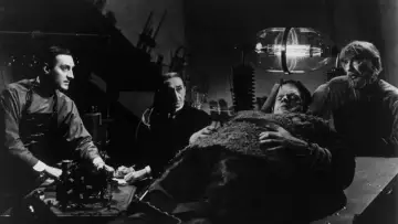 Zasłona do filmu "Syn Frankensteina" #1030397