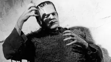 Zasłona do filmu "Syn Frankensteina" #1030398