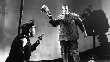 Zasłona do filmu "Syn Frankensteina" #1030399