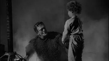 Zasłona do filmu "Syn Frankensteina" #1030415