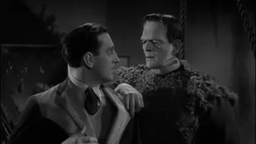 Zasłona do filmu "Syn Frankensteina" #1030416