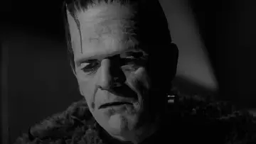 Zasłona do filmu "Syn Frankensteina" #392363