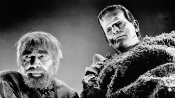 Zasłona do filmu "Syn Frankensteina" #392364