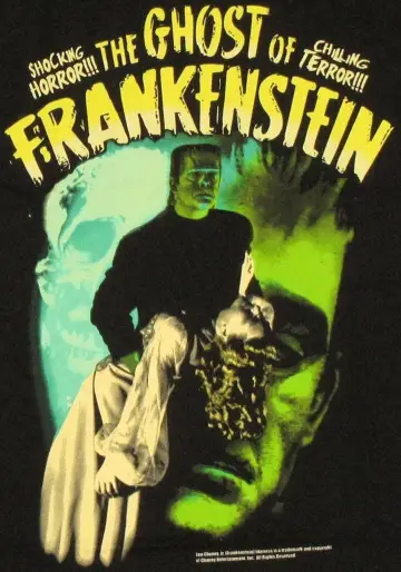 Plakat do filmu "Duch Frankensteina" #1634309