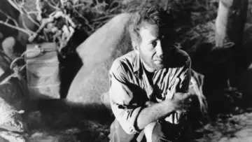 Zasłona do filmu "Skarb Sierra Madre" #899935