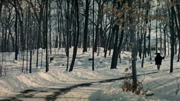 Zasłona do filmu "Valley of the Dolls" #1532550