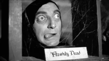 Zasłona do filmu "Młody Frankenstein" #682305