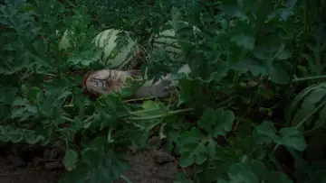Zasłona do filmu "Badlands" #667951