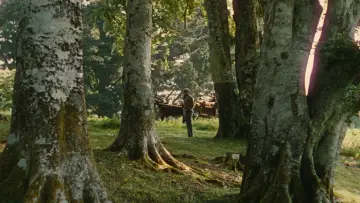Zasłona do filmu "Spokojny człowiek" #949201