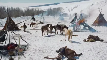 Zasłona do filmu "Poszukiwacze" #787732