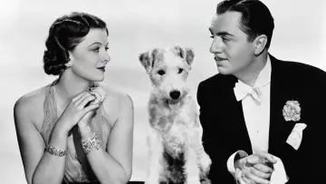 Zasłona do filmu "The Thin Man" #986544