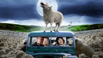 Zasłona do filmu "Czarna owca" #386815