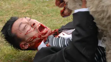 Zasłona do filmu "Czarna owca" #885358