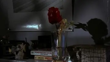 Zasłona do filmu "Frankie i Johnny" #1186478