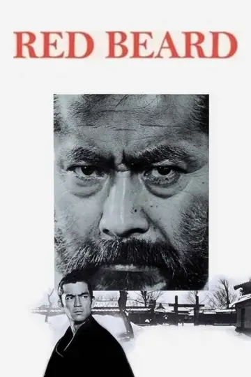 Plakat do filmu "Rudobrody" #750694