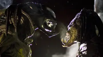 Zasłona do filmu "Obcy kontra Predator 2" #317573