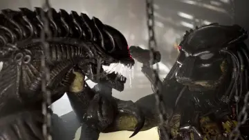 Zasłona do filmu "Obcy kontra Predator 2" #839669