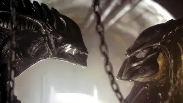 Zasłona do filmu "Obcy kontra Predator 2" #839670