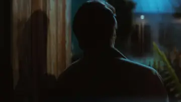 Zasłona do filmu "Nagi instynkt" #254779