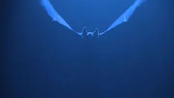 Zasłona do filmu "Batman Forever" #618896