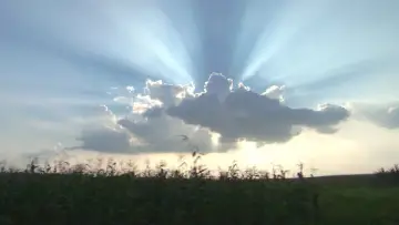 Zasłona do filmu "Borat. Podpatrzone w Ameryce, aby Kazachstan Rósł w Siłę, a Ludzie Żyli Dostatniej" #732713