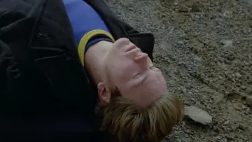 Zasłona do filmu "Moje własne Idaho" #863260