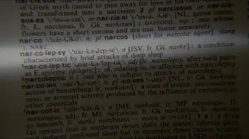 Zasłona do filmu "Moje własne Idaho" #863293