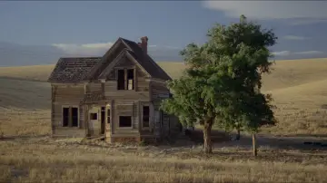Zasłona do filmu "Moje własne Idaho" #863306