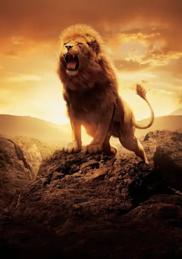 Plakat do filmu "Opowieści z Narnii: Lew, Czarownica i stara szafa" #473177