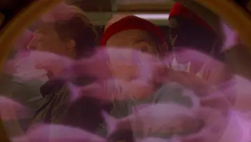 Zasłona do filmu "Podwodne życie ze Stevem Zissou" #936285