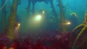 Zasłona do filmu "Podwodne życie ze Stevem Zissou" #936301