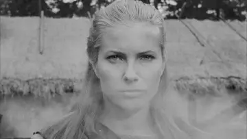 Zasłona do filmu "Siódma pieczęć" #176153