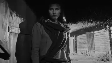 Zasłona do filmu "Siódma pieczęć" #1827421
