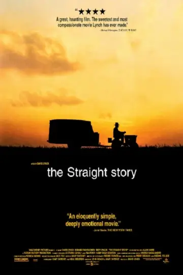 Plakat do filmu "Prosta historia" #135464