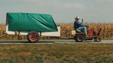 Zasłona do filmu "Prosta historia" #529212