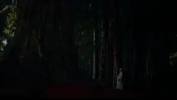 Zasłona do filmu "Zawrót głowy" #635972