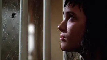 Zasłona do filmu "Sok z żuka" #220259