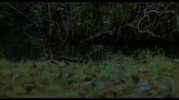 Zasłona do filmu "Piątek  trzynastego 1" #1894556