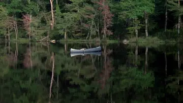 Zasłona do filmu "Piątek  trzynastego 1" #623726